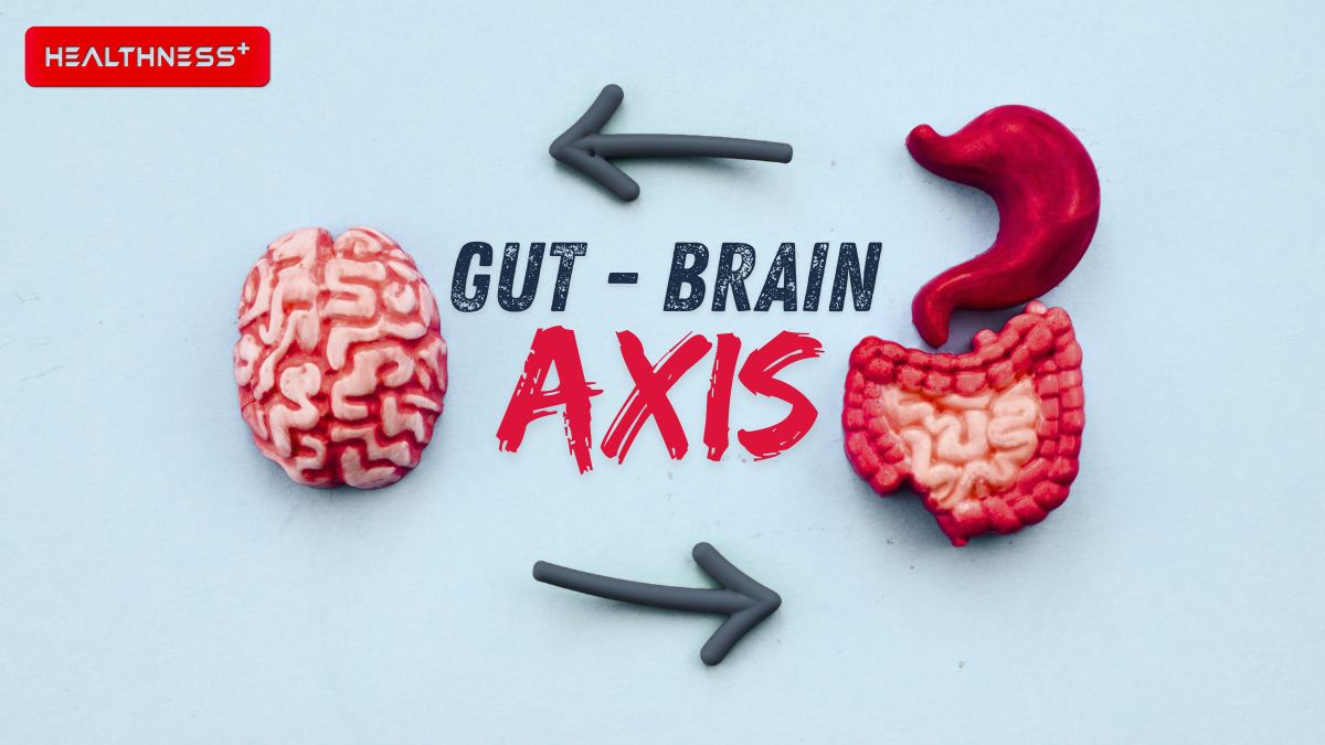 The Gut-Brain Axis: How Your Second Brain Shapes Your Mood, Focus, and Daily Energy